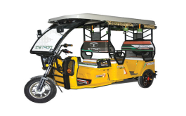 Vegetable Cart